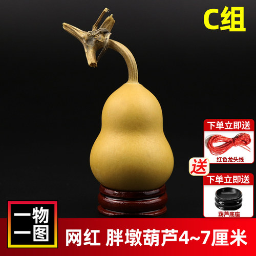 聊葫小葫芦小胖墩小美国