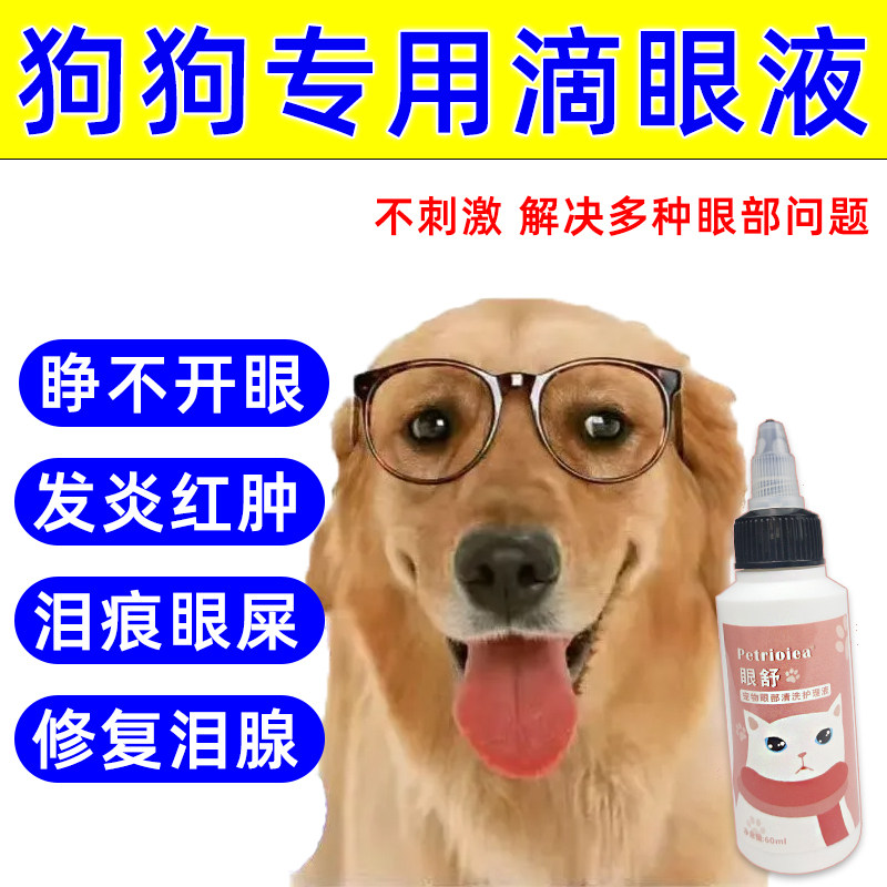 边牧去泪痕眼药水狗眼睛发炎流脓