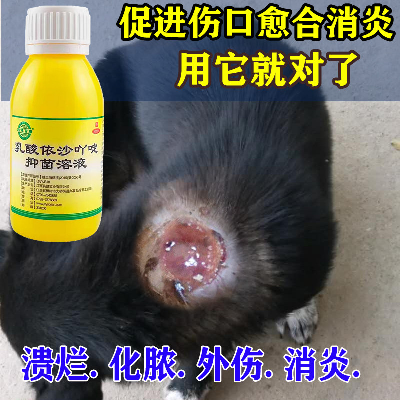 狗狗皮肤病真菌螨虫湿疹猫癣趾间炎肛门腺阴囊炎伤口消毒喷剂溃烂