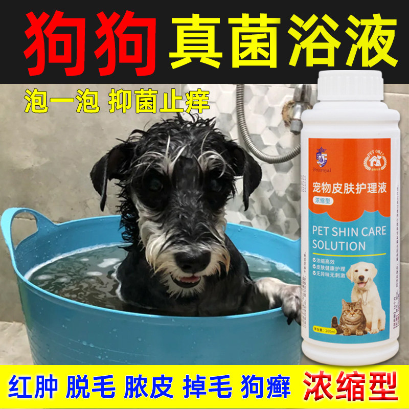 狗狗皮肤病真菌感染泡澡除臭狗身上长脓包小狗身上长癣皮肤藓浴液