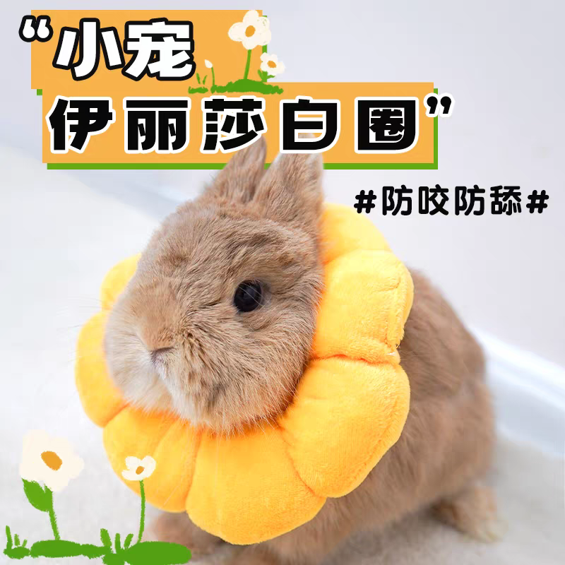 兔子伊丽莎白圈术后宠物防护头套柔软防水防舔防抓咬绝育驱虫项圈