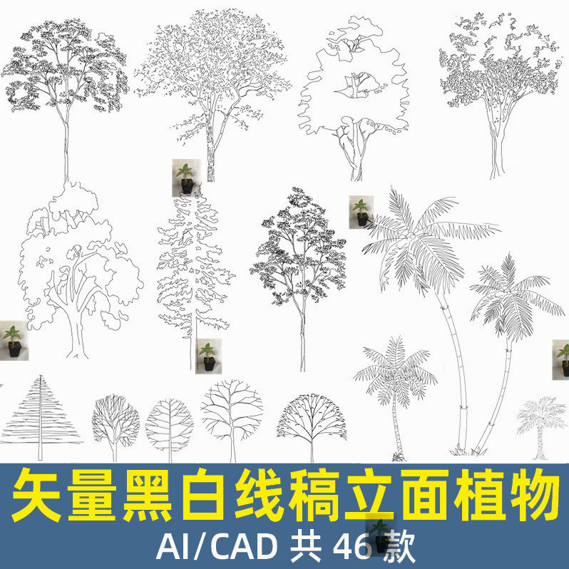 黑白手绘线稿风矢量cad ai 立面植物树景观建筑立剖面配景素材