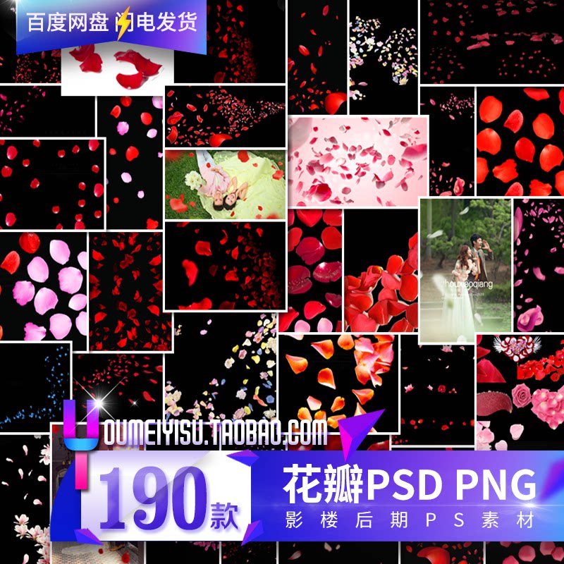 ps花瓣素材/真实飘落飘洒散落玫瑰花瓣psd/png/影楼婚纱照后期