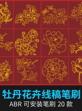 金色传统牡丹花朵花卉线稿图案背景插画procreate笔刷ps笔刷素材