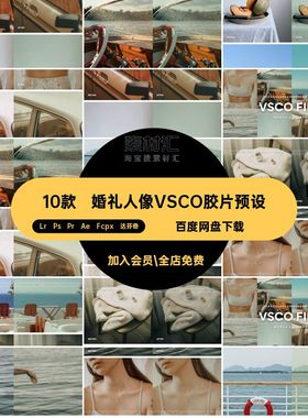 VSCO胶片预设合集Pr滤镜调色达芬奇日系街富士psLr10款人像lut