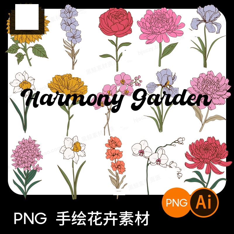 15朵优雅精美手绘花朵花卉植物AI矢量插画插图png免扣图片素材svg