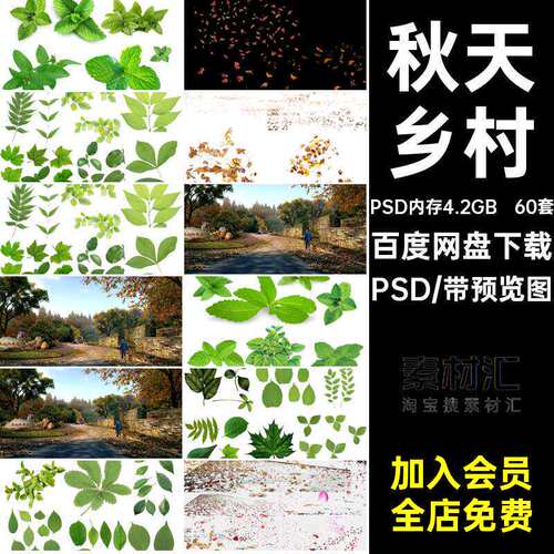 落叶免扣PSD秋景素材秋天银杏60套素材乡村乡村ps景观枫树