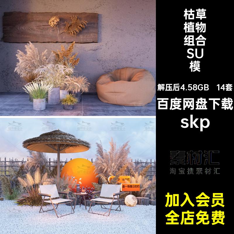干草植物组合SU模型狼尾草美露营造景陈14套芦苇skp麦穗大师草图