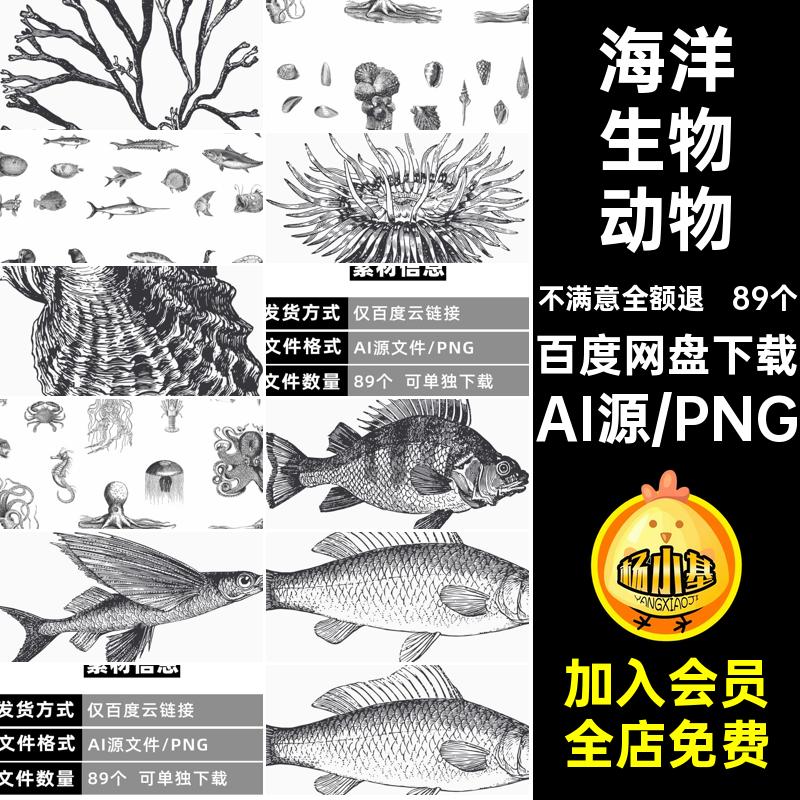 手绘复古黑白素描海洋生物动物鱼类贝壳插画图案矢量AI设计素材图