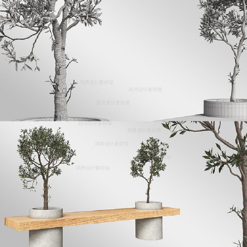 盆景树3D盆栽模型极简风绿植C4D建模max桌面植物贴图fbx盆景花盆