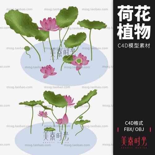 obj文件花卉模型素材1组立体莲花荷花C4D3D荷叶水上池塘