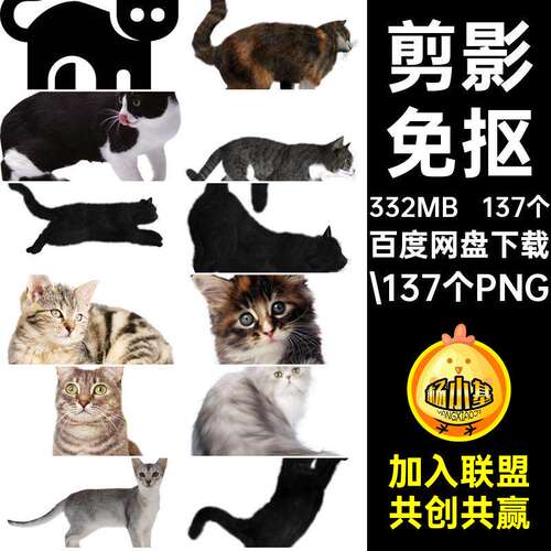 小猫图片.137个PNG速秘动物咪卡通png宠物黑色花猫素材
