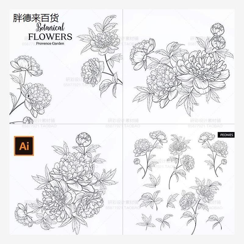 黑白手绘牡丹花卉线描花卉植物花朵线稿婚礼装饰画AI矢量素材素材图片