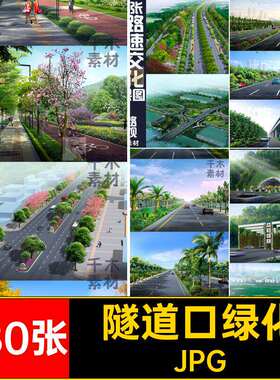 互通绿化JPG边坡效果图张城市道路隧道口5立交方案设计高速5