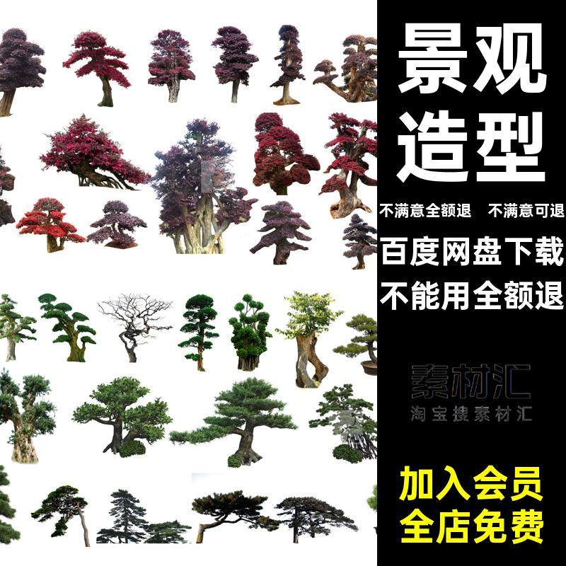 灌木球树桩psd景迎客棒棒糖PS效果图植物素材造型罗汉松景观木球