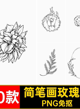 70款涂鸦玫瑰花月亮PNG免抠扣菊花png简图片小蒲公英笔画花朵ps