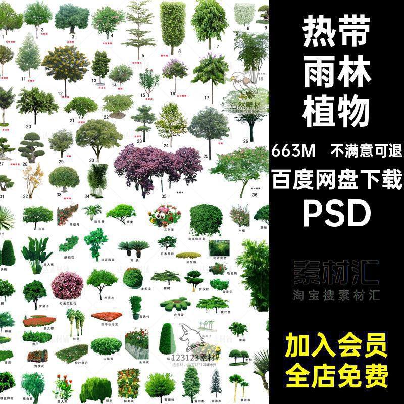 热带雨林园林景观设计树木森林植物棕榈杉树PSD分层源文件PS素材