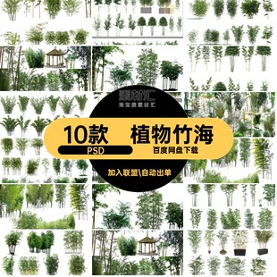 植物景观PSD素材psd小品竹林免分层竹子扣中式效果图竹海庭
