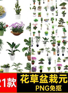221款花草盆栽元素PNG免抠盆景植物园林景观背景图片PS绿植PS绿植