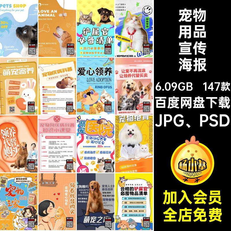 宠物宣传海报宠物护理价格表创意超值活动来袭这款无家可归的宠物