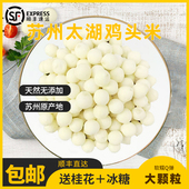 苏州鸡头米新鲜特级芡实苏芡农家剥壳特产礼盒顺丰 500g 包邮
