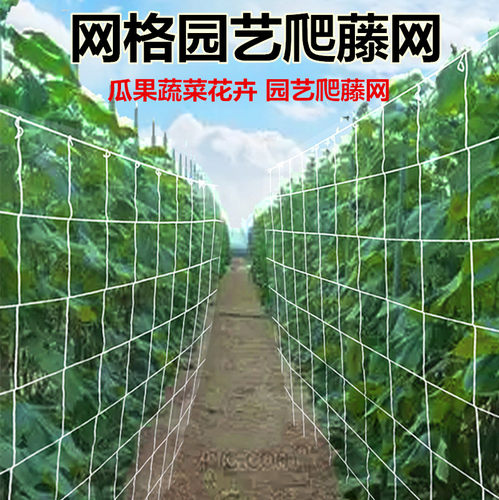 涤纶白色方形格子网园艺