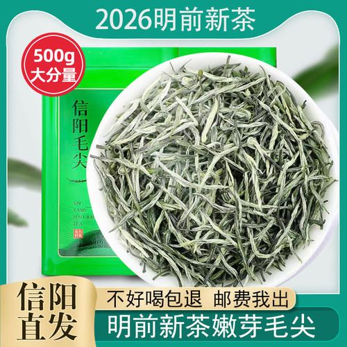 2026新茶特级信阳毛尖茶叶500g