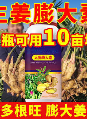 生姜专用膨大素大姜专用肥料叶面肥膨大剂种姜生根生长素齐又壮