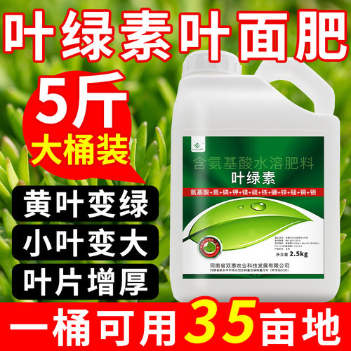 叶绿素叶面肥肥料氨基酸叶面喷施玉米生根壮苗大量中量元素水溶肥