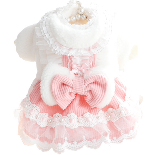 狗狗衣服秋冬装厚款猫咪公主裙蝴蝶结蕾丝花边小型犬泰迪宠物4838