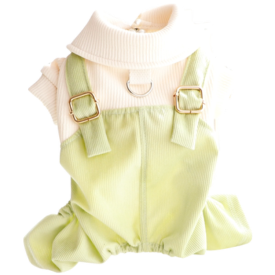 Accope狗狗四脚翠绿背带裤套装