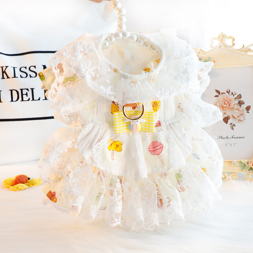 Accope猫咪狗狗黄色玉桂狗洛丽塔