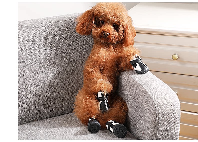 四季防水雨鞋不掉狗狗鞋子一套4只小型犬比熊泰迪宠物脚套爪子鞋