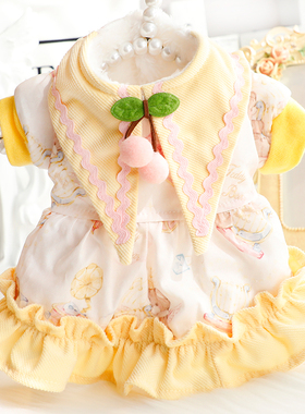 狗狗衣服秋冬装厚款猫咪公主裙尖领洛丽塔可爱小型犬泰迪宠物4858