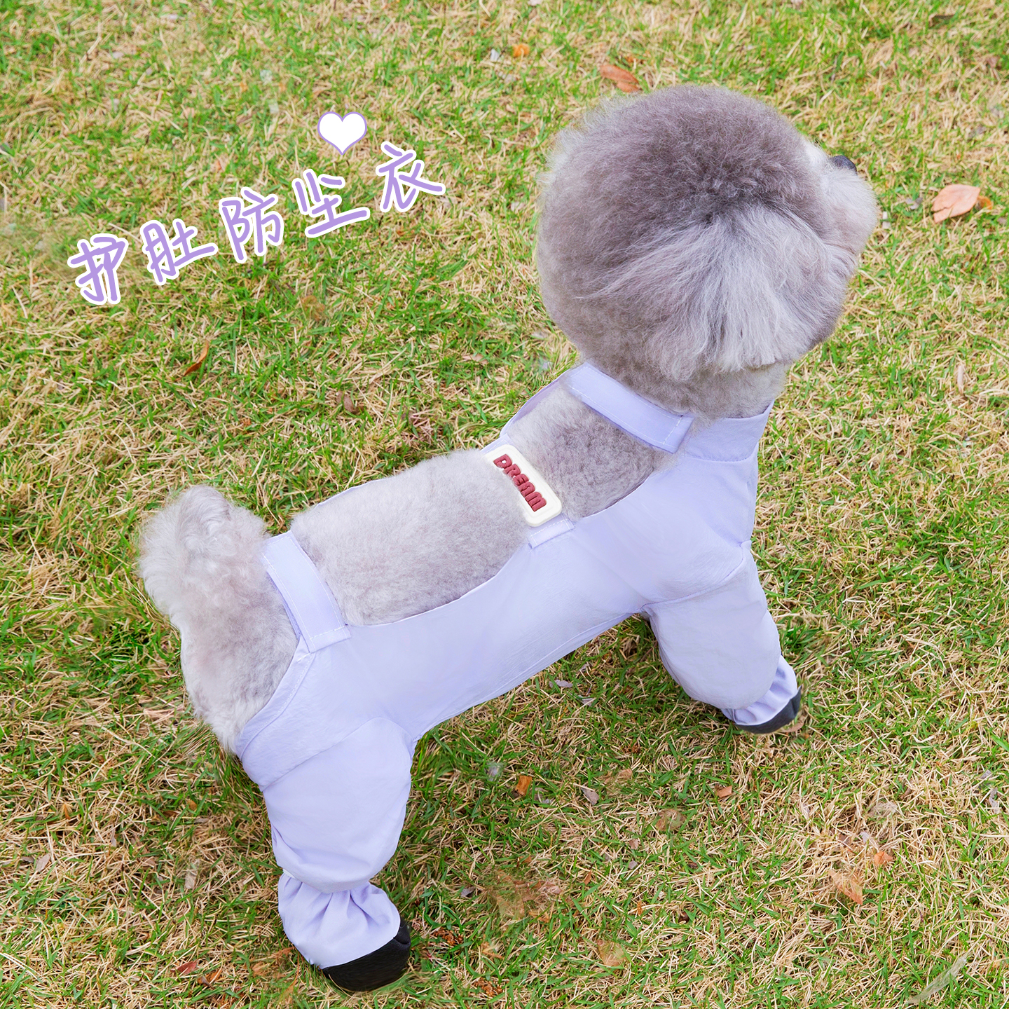狗狗衣服春秋装包脚防脏防尘裤包肚子四腿小型犬泰迪比熊宠物7447
