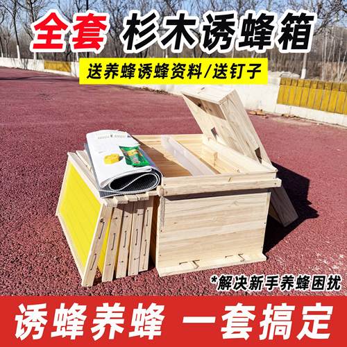 【工厂直营】养蜂诱蜂全套蜂箱