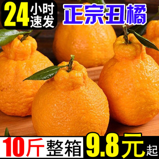 丑八怪丑橘不知火新鲜橘子10斤当季蜜橘桔子时令应季水果整箱柑橘
