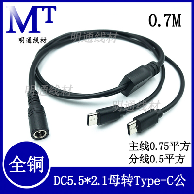 DC5.5一分多Typec公连接线