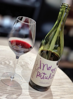 智利自然酒醉乐未完待续佳丽酿干红葡萄酒2023年份750ml