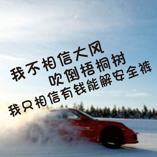 我不相信大风吹倒梧桐树汽车贴纸个性网红文字装饰后窗玻璃车身贴