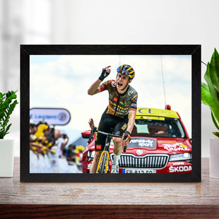 温格高实木相框摆台环法公路车卧室房间有框挂墙上宿舍画框装饰画