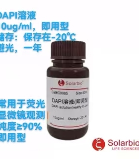 DAPI溶液即用型纯度≥90% 10ug/ml 1mg/ml  10ml 50ml索莱宝正品