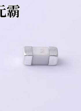 2410LC-2A 一次性保险丝 2A 125V SMD