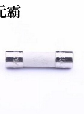 0215010.MXP 一次性保险丝 陶瓷管保险丝 D5xL20mm