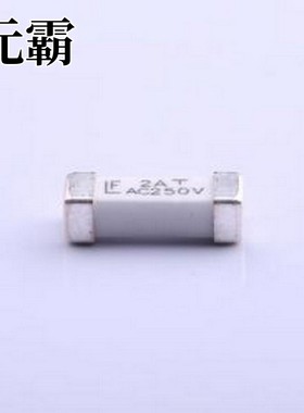 0443002.DR 一次性保险丝 250V贴片式保险丝 SMD,10.1x3.1mm
