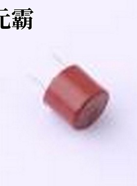 37200630431 一次性保险丝 250V 插件