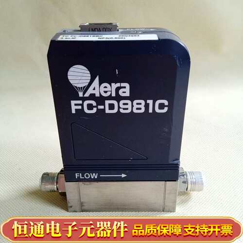 Aera FC-D981C流量计TC FC-D981SB