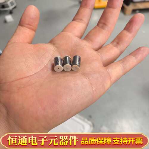 赛默飞 Thermo 单向阀阀芯坏， 货号：6041.23