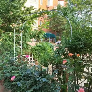 拱门花架户外防锈铁线莲爬藤架