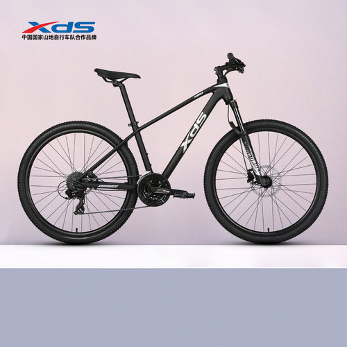 2025款逐日500大轮径24速油碟车